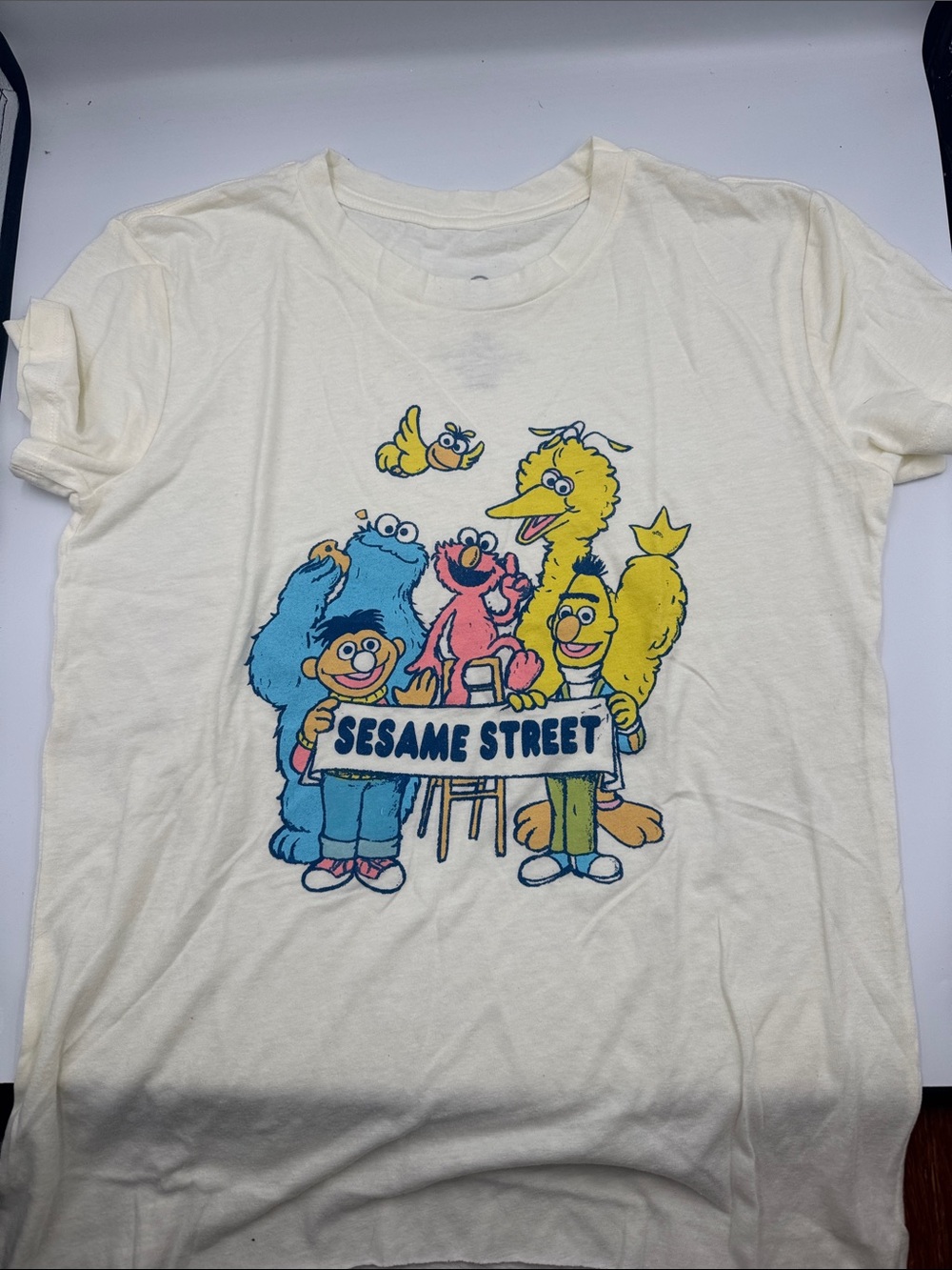 Sesame Street Cream Tee with Colorful Character Graphic